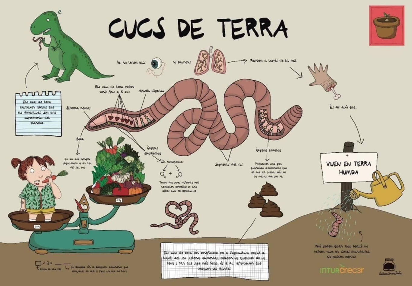 InturCrecer Alimentació Saludable